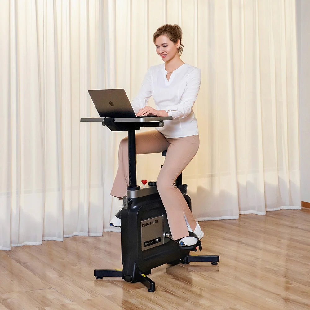 KINGSMITH W1B Foldable Exercise Bike