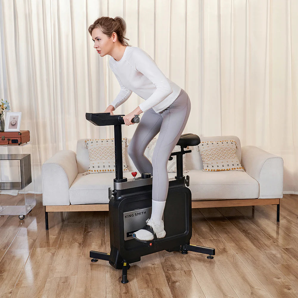 KINGSMITH W1B Foldable Exercise Bike