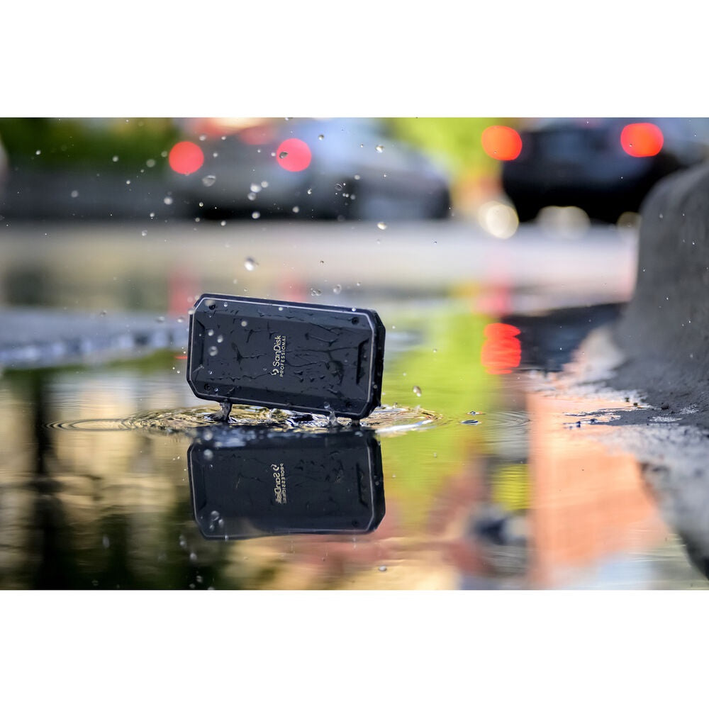 SanDisk 2TB Professional PRO-G40 Thunderbolt 3 Portable SSD USB 3.2 Gen 2, 3000MB/s