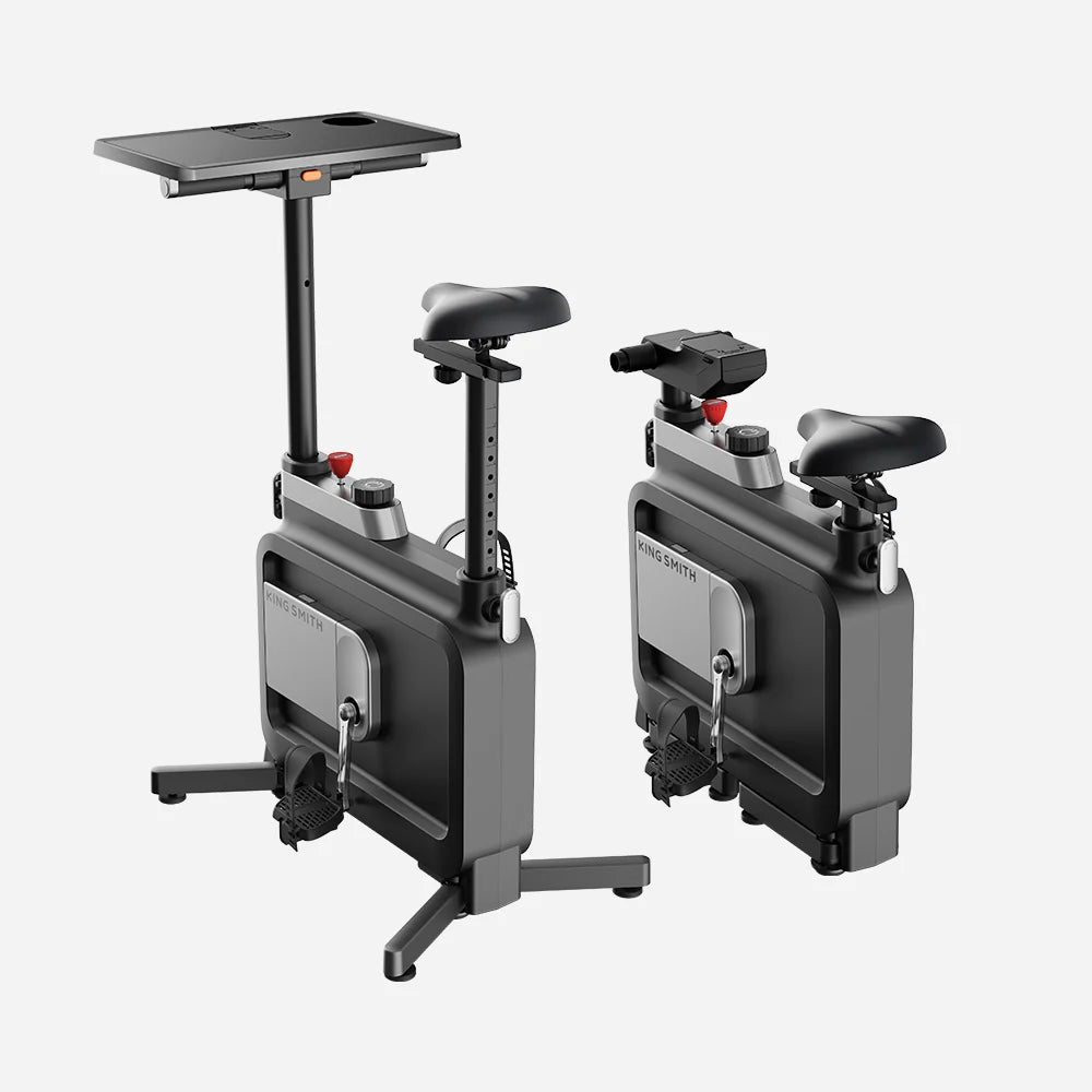 KINGSMITH W1B Foldable Exercise Bike